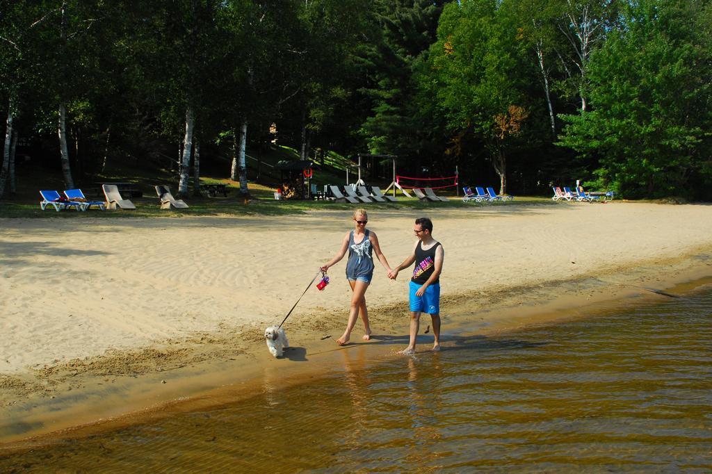 The Pines Cottage Resort Oxtongue Lake Екстер'єр фото