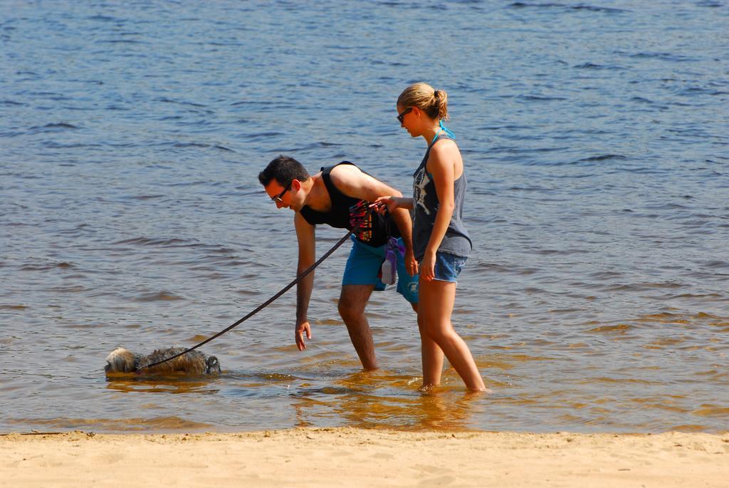 The Pines Cottage Resort Oxtongue Lake Екстер'єр фото